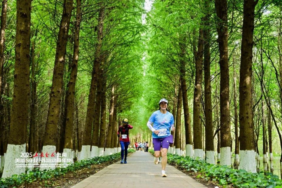 bt, Nf, 云南美丽乡